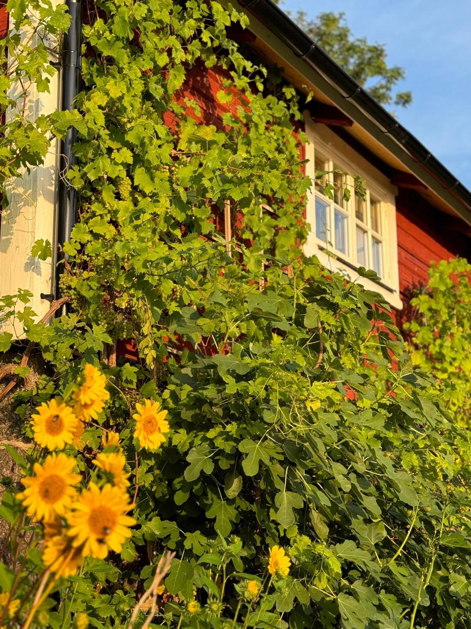 Brunstorpsgard Braenneriet Villa ฮุสค์วาร์นา ภายนอก รูปภาพ